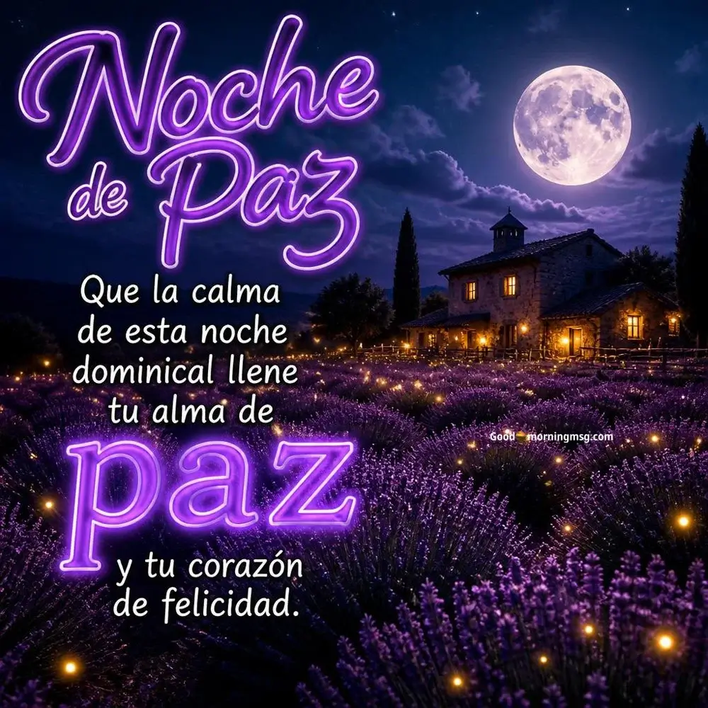 Noche De Domingo Frases